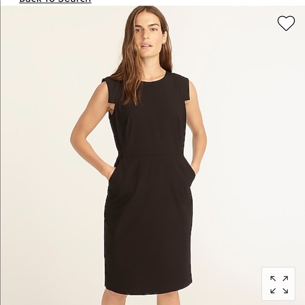 Preowned J Crew Resume dress